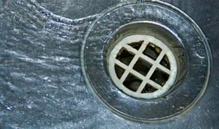 Plug hole and drain