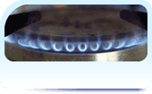 Gas section icon